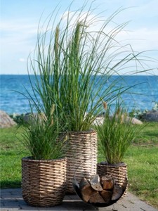 Eco Friendly Biodegradable Set 3 Water Hyacinth Planter Pots Waterproof <b>Liner</b> Rustic Vintage Style Best Selling Home Garden - Product Image 4