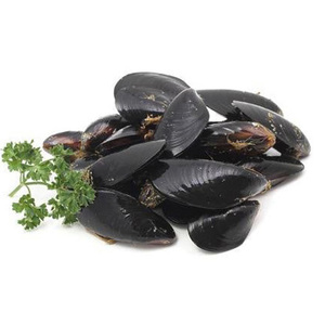 Buena Oferta: Carne de mejillones azules frescos congelados, mariscos de alta calidad con conchas - Product Image 6