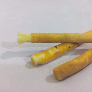 Bâtonnet de Miswak Naturel Écologique |   Nettoyant dentaire traditionnel à base de plantes |   Racines de Salvadora Persica - Product Image 3