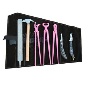 Kit de fermeur avec coupe-ongles à sabots rose, marteau de fermeur, pince à clous courbée, tire-clous, râpe, lime, couteau à sabots à boucle aiguisée, antidérapant - Product Image 1