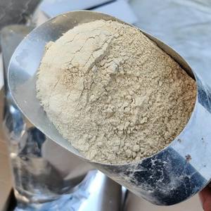 Poudre d'ail déshydratée de qualité supérieure et granulés d'ail en vrac 8-60 Mesh de qualité alimentaire - Mme Tarina - Product Image 4