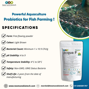 Uso de probióticos en la acuicultura para el control de patógenos, probióticos para la acuicultura y probióticos para el control de vibrios - Product Image 3