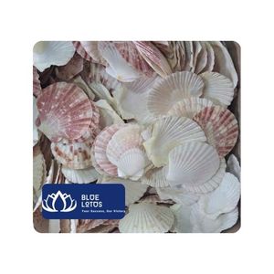 [MEILLEURES VENTES] Coquille Saint-Jacques sculptée BLUE LOTUS pour centre de table de mariage sur la plage, peinture DIY, décoration intérieure, durable - Product Image 1