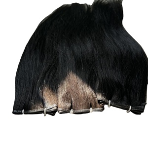 Cinta de punta de cabello humano vietnamita Ins Extensiones de cabello humano crudo Natural recto Precio al por mayor Donante único - Product Image 1