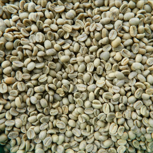 100% Natural Vietnamese Specialty Robusta Green Coffee <b>Beans</b> Size 16, Wholesale in Bulk, USDA & ISO 22000 Certification - Product Image 1