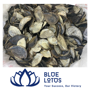 Opécule de Murex disponible en matière première pour l'extraction de parfums et la fabrication artisanale de parfums – Fournisseur Blue Lotus Farm Thanh Hoa - Product Image 1