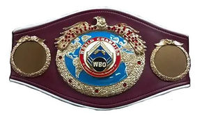 WBC WBA WBO IBO IBF Wrestling Championship Belts Adult Size Custom Logo Metal <b>Plate</b> High Quality Durable Belt - Product Image 6