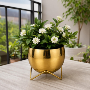 Maceta Decorativa de Metal Dorado para Plantas de Interior y Exterior, Hogar, Jardín, Balcón, Patio - Product Image 4