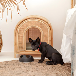 Cozy Home for Dogs and Cat Rattan Dog House <b>Cheap</b> Animal Pet Houses Pets Furniture Wholesale - Product Image 2