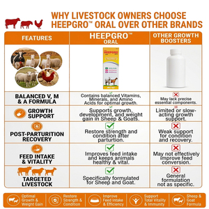 HeepGrow, suplemento multivitamínico, multimineral y de aminoácidos para el crecimiento de ovejas y cabras, fórmula para el apoyo del peso. |   Paquete: 200ml - Product Image 5