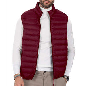 Chaleco Ligero Personalizado para Hombre, Relleno de Poliéster, Plegable, Aislante, Resistente al Agua, para Invierno, Trabajo al Aire Libre, Informal, Empacable - Product Image 1