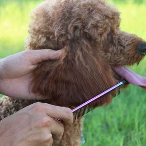 Herramienta desenredante de dientes finos para el cuidado del pelaje, peine de aseo para mascotas, peines de aseo para mascotas hechos de plástico personalizado - Product Image 4