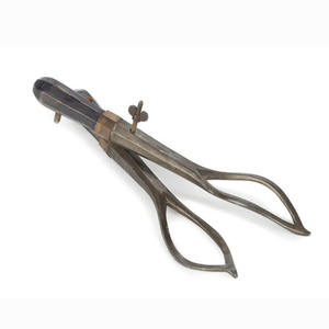 Ciseaux à pansements Lister en acier inoxydable, ciseaux médicaux courbés, ciseaux à pansements pour traumatismes Lister 14 cm par Dentavex - Product Image 2