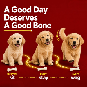 Complément alimentaire Calcium Milkbone Chews pour chiens de toutes races, absorption rapide, soutien immunitaire, dents plus fortes, santé des animaux de compagnie - Product Image 6