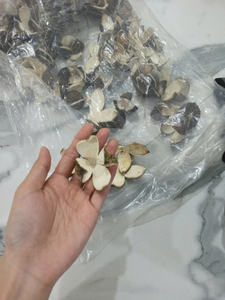 Écorces de mandarine séchées Chenpi vieillies, écorces d'orange séchées, prix d'exportation compétitif - Product Image 4