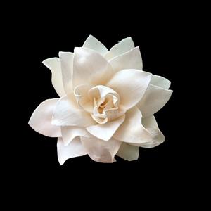 Flores de Madera de Sola (Lotus) de 8-8.5 CM, Varilla de Fibra Vegetal de Sesbania, Aromaterapia Hecha a Mano - Product Image 3