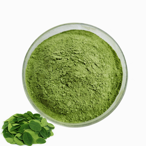Poudre de Moringa Oleifera de qualité supérieure, extrait végétal pour la nutrition bien-être, compléments alimentaires et produits de santé botaniques - Product Image 6