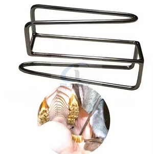 เครื่องมือตรวจฟันม้าแบบหนีบปาก ทำจากสแตนเลส แข็งแรงทนทาน ใช้ซ้ำได้ - Product Image 5