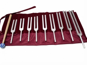Farhan Products & Co Diapason en acier inoxydable non lesté 9 notes Solfège sacré avec marteau, réutilisable et stérilisable - Product Image 1