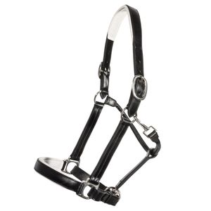 Premium quality English style horse bridle and <b>halter</b> made from genuine leather for outdoor equestrian use Wholesale Price - Product Image 2