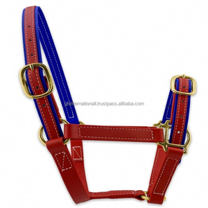 Licol de cheval de course conçu sur mesure en cuir véritable noir attrayant avec cheval de style selle anglais en PVC léger - Product Image 1