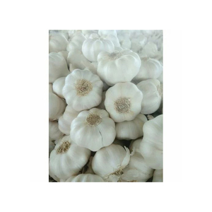 Ajo Deshidratado en Hojuelas, 100% Puro, de Buena Calidad, Precio Accesible, Superventas - Product Image 3