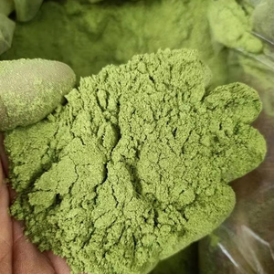 Polvo de Pandan Premium para la Industria Alimentaria |   Extracto puro de Pandan de Vietnam - Product Image 1