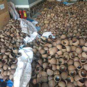 Bol en noix de coco du Vietnam, fait main, en coquille de noix de coco naturelle, fournisseur écologique, bol de service durable pour la cuisine, vente en gros - Product Image 5