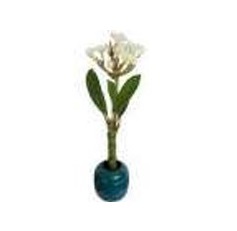 Accessoires de décoration intérieure modernes, uniques et tendance de haute qualité, fleurs de frangipanier de luxe - Product Image 1