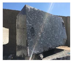 Bloque de Mármol Negro Fósil Devoniano, Patrón Fósil Natural, Material de Piedra Cruda de Mármol Oscuro para Procesamiento de Losas - Product Image 1