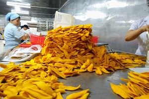 ผลิตในเวียดนาม ผู้ค้าส่งผลไม้อบแห้ง ผลไม้อบแห้งเนื้อนุ่ม มะม่วงอบแห้งเนื้อนุ่ม - Product Image 4