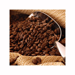 เมล็ดกาแฟอาราบิก้าคุณภาพสูง พร้อมส่ง ขายส่ง ปริมาณมาก เกรดพรีเมียม เกรดอาหาร สำหรับส่งออก - Product Image 3