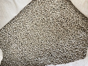 พริกไทยขาวเวียดนามขายส่งสำหรับส่งออก คุณภาพดี ราคาดีที่สุด - Product Image 5