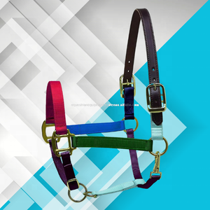 Ecuestre cazador verde cuero ajustable corona nailon caballo Halter PP ecológico logotipo personalizado accesorios para alfombras de caballo - Product Image 4