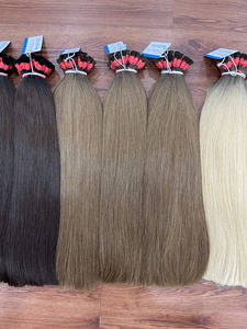 Extensions de cheveux humains vietnamiens bruts en vrac – Nouveaux articles, sans nœuds, sans perte, couleurs personnalisées, livraison rapide, vente en gros - Product Image 5