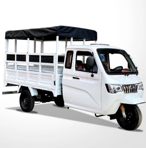 Tricycle Électrique de Haute Qualité à 3 Roues en Alliage d'Aluminium avec Marchepied et Plateforme de Chargement Arrière Ouverte - Product Image 1