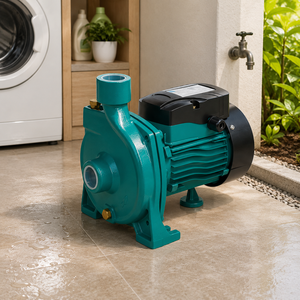 Pompe à eau électrique monophasée Snow Flake TGA1B 0,5 CV avec raccord à bride de sortie 1 pouce pour irrigation agricole, corps en fonte - Product Image 2