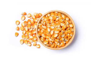 Factory Price Yellow Maize Corn Best Yellow Maize Corn for Human Animal Feed - Bulk Dried Yellow Corn for Affordable Cheap Price - Product Image 4