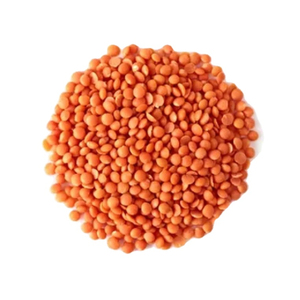 Lentilles vertes fraîches en gros, qualité supérieure, stock pour commandes B2B de grande quantité - Product Image 3