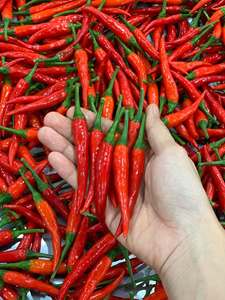 Frozen <b>Red</b> <b>Hot</b> Chili Pepper Whole Food Grade - Product Image 1