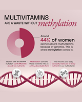 Capsules multivitaminées quotidiennes pour femmes, enrichies en vitamines, minéraux et nutriments biodisponibles