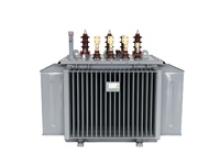 Transformateur électrique immergé dans l'huile 33KV 630Kva pour la distribution d'électricité haute tension 33KV 35KV