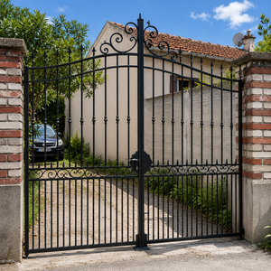 Styles de portails en fer forgé époustouflants : Transformez l'entrée de votre maison grâce à l'art du métal sur mesure, élégant et durable. - Product Image 1