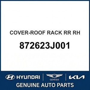 Veracruz New Other <b>Car</b> & Truck Parts & <b>Accessories</b> Right 872623J001 - Product Image 1