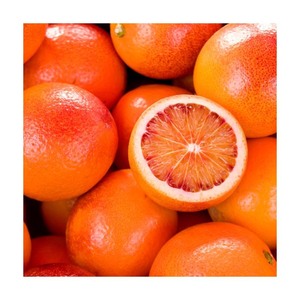 Oranges de qualité adaptées aux restaurants et aux entreprises de services alimentaires - Product Image 2