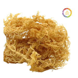 มอสทะเลแห้งมอสทะเลสะอาด - Product Image 6