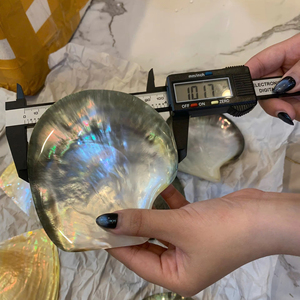 Vietnam Luxury Mother of Pearl Plate Natural Shell Material for Jewelry Tray Serving Display <b>Tabletop</b> Decor - Product Image 1