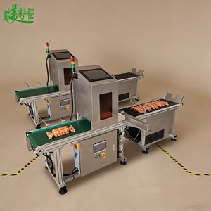 Sistema de Visión con IA para Inspección 100% de Impresión y Código de Fecha en Diversos Materiales de Embalaje - Product Image 1