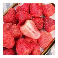 HOTSELLER 2026 Gedroogde Aardbeienplakjes voor Hiking Snacks Puur Tropisch Fruit Schoon Veilig Draagbare Fruitpakjes S S