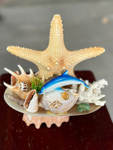 Vietnam Factory Supply Decorative Sea <b>Shell</b> for Aquarium Fish Tank Natural Small <b>Shell</b> Bulk Export Supplier - Product Image 4